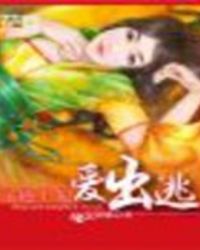 无赖王妃要休夫